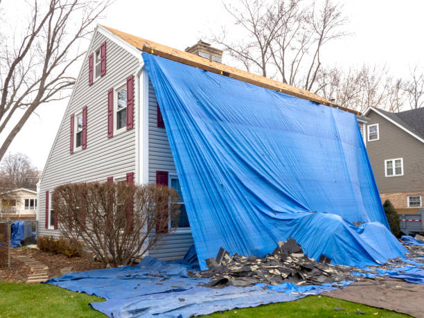 Best Engineered Wood Siding  in Port Monmouth, NJ